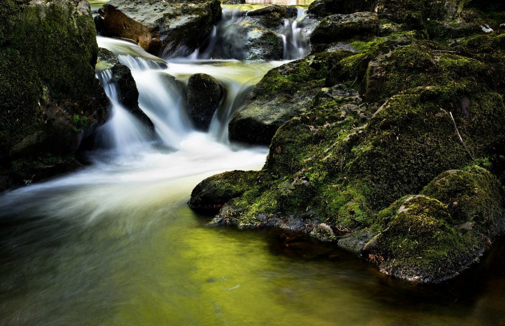 Fließendes Wasser mit langer Belichtungszeit im Wald