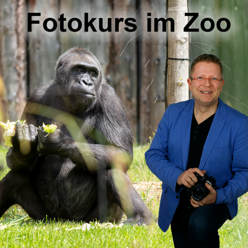 Fotokurs im Zoo in Saarbrücken