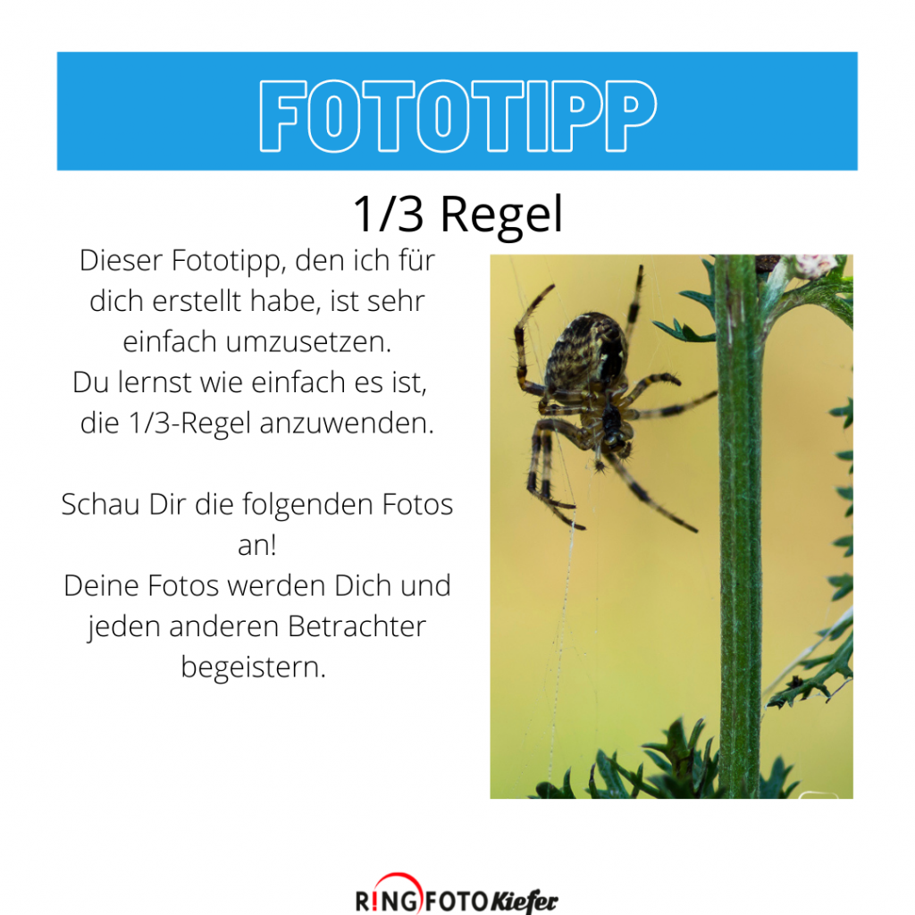 Fototipp 1/3 Regel