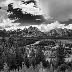 Fotografieren wie die alten Meister – Ansel Adams