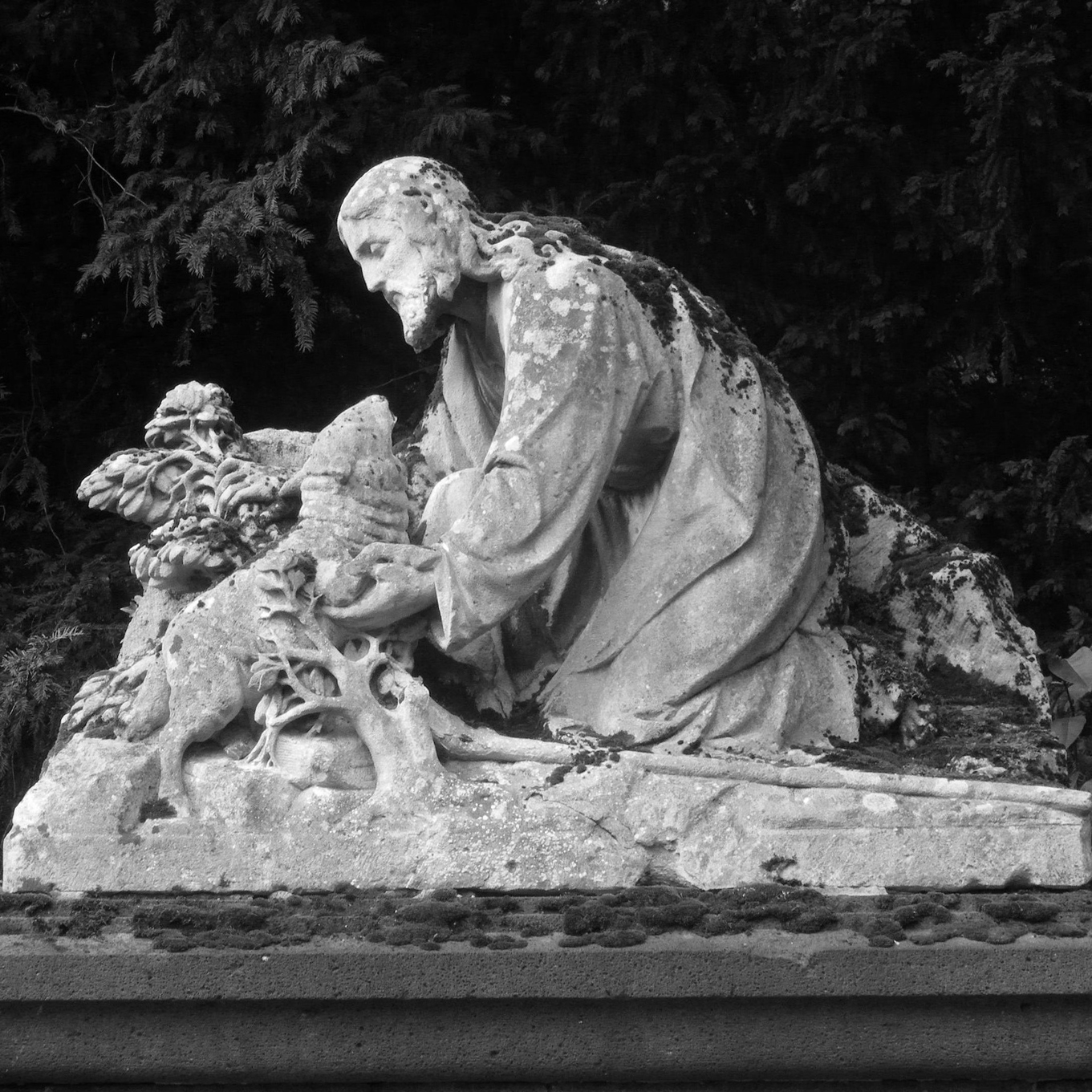 Fotokurs Köln – Melaten, Nachtfotografie & Flora 06. & 07. Juni. 2026