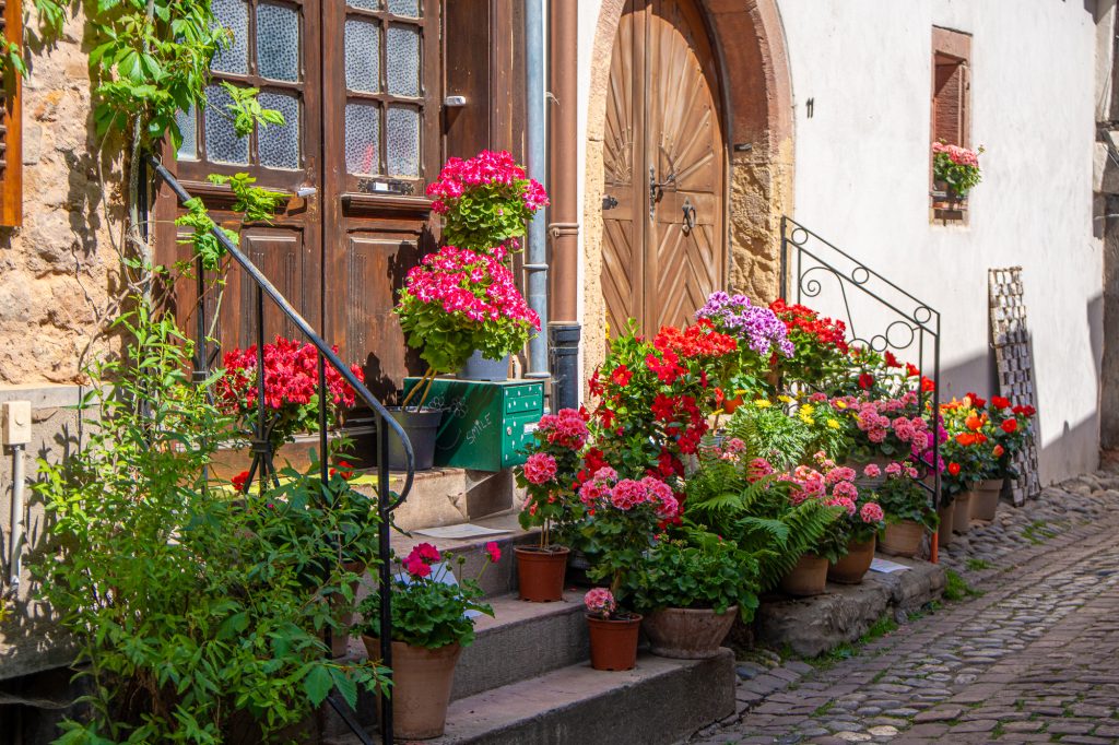 Blumengeschmückter Hauseingang in einer Gasse von Eguisheim