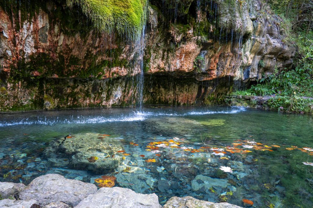 Feine Wasserfäden fließen über eine moosbewachsene Felswand in ein klares Becken im Müllerthal