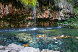 Feine Wasserfäden fließen über eine moosbewachsene Felswand in ein klares Becken im Müllerthal